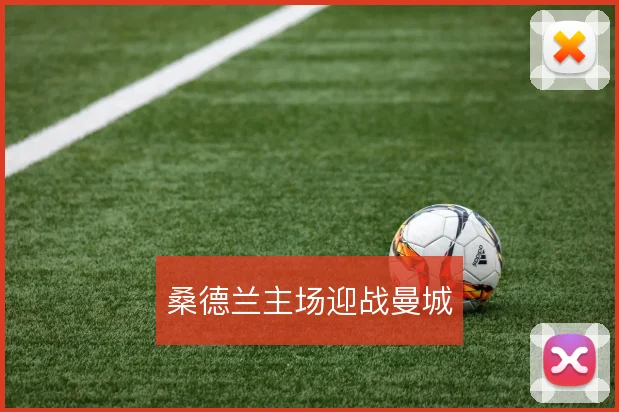 桑德兰主场迎战曼城