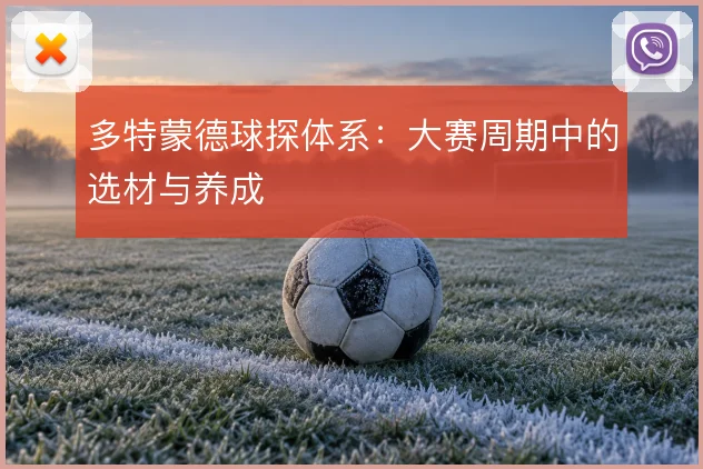 多特蒙德球探体系：大赛周期中的选材与养成