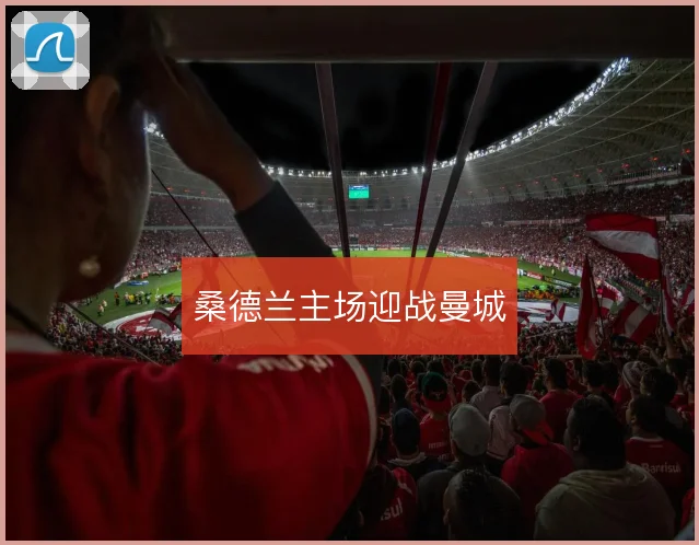 桑德兰主场迎战曼城